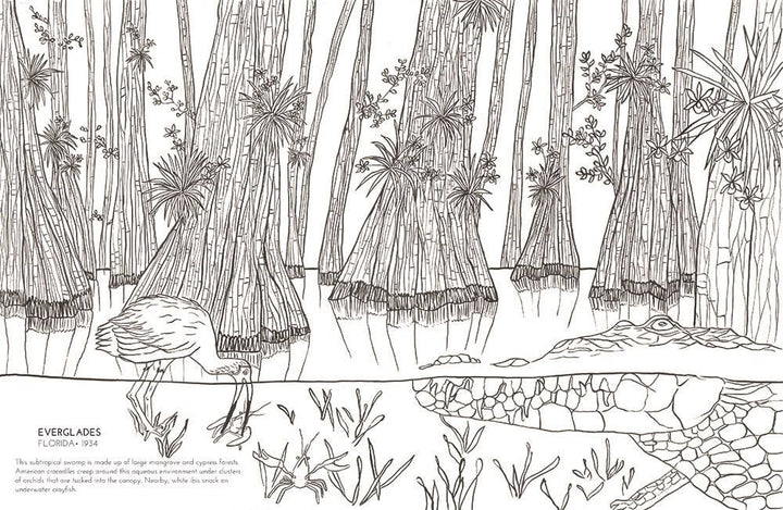The National Parks Coloring Book