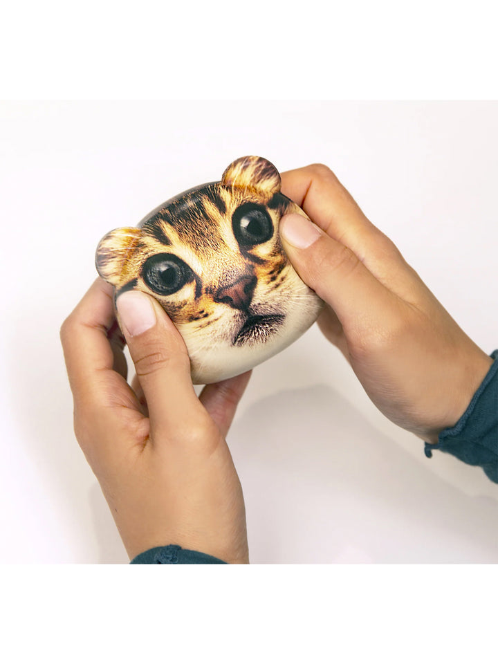 Kikkerland Feline Fine Cat Stress Ball