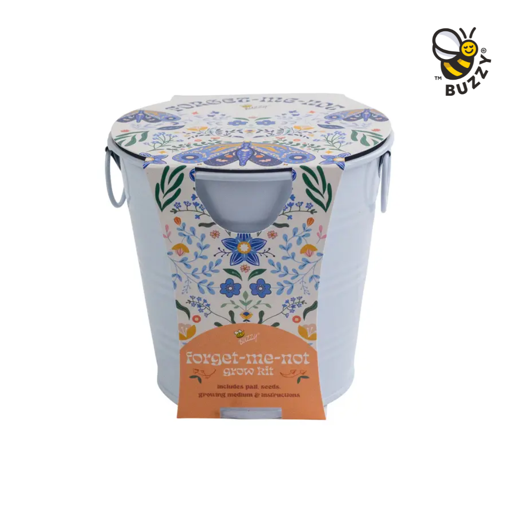 Buzzy Seeds Grow Gifts Painted Flower Grow Pail – Forget-Me-Not Indoor Garden Gift