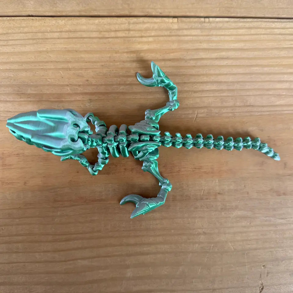 LNZ Customer Design Skeleton Dinosaur - Velociraptor