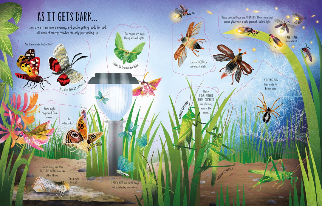 Usborne See Inside Bugs and Butterflies