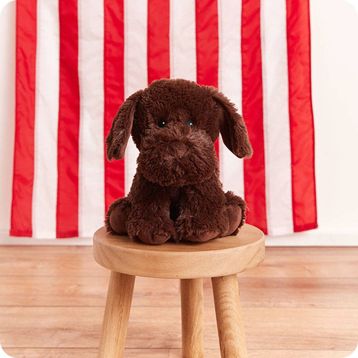 Warmies Chocolate Labrador