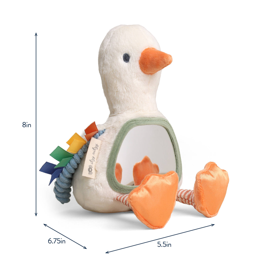 Itzy Ritzy Itzy Bitzy Mirror™ Sensory Tummy Time Mirror - Goose