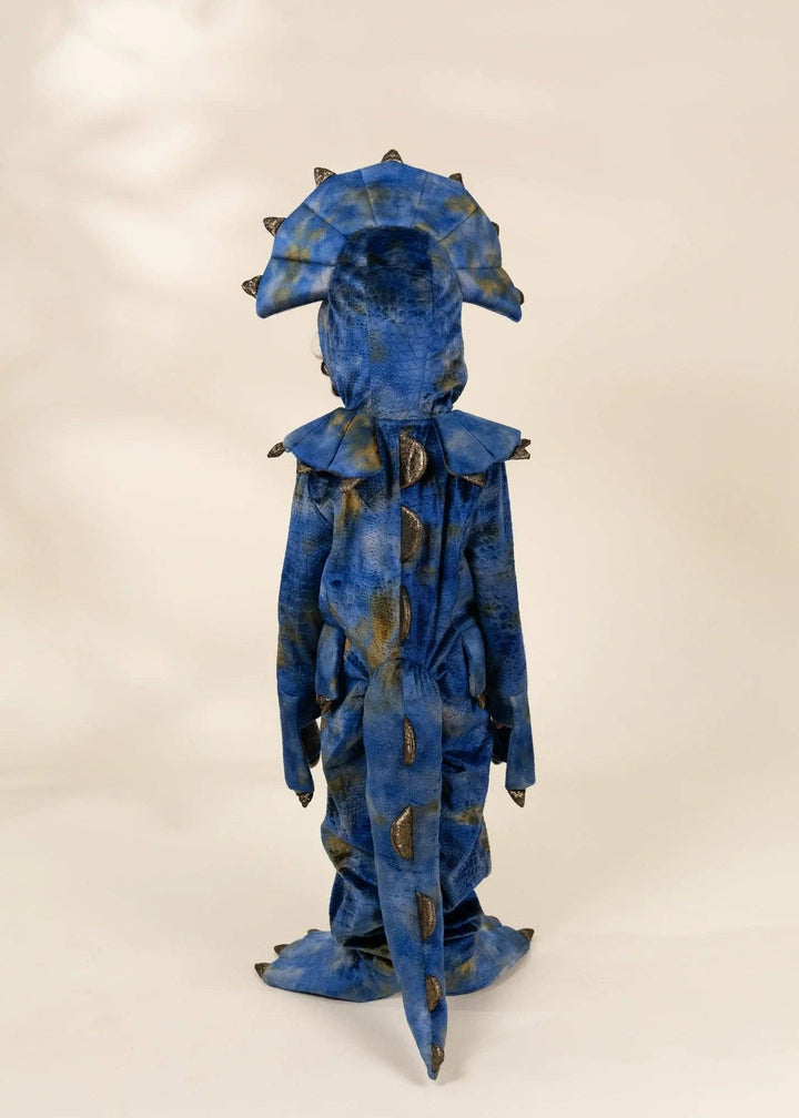 Coco Village Dinosaur Play Costume