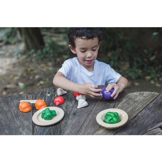 Plan Toys 5 Color Veggies Set