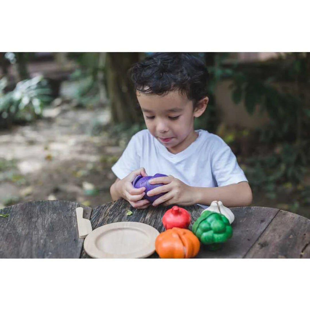 Plan Toys 5 Color Veggies Set