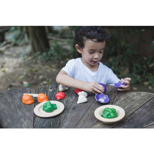 Plan Toys 5 Color Veggies Set