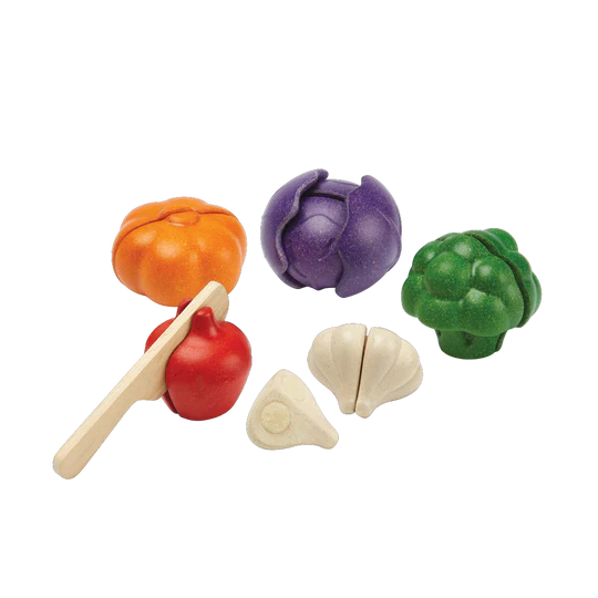 Plan Toys 5 Color Veggies Set