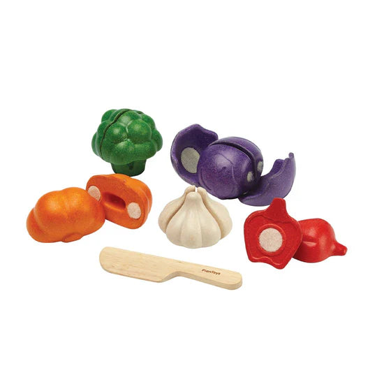 Plan Toys 5 Color Veggies Set