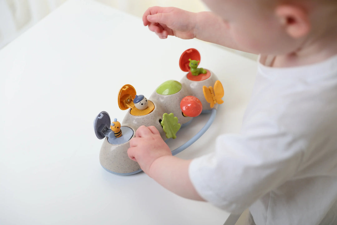 TOLO Woodland Pop Up