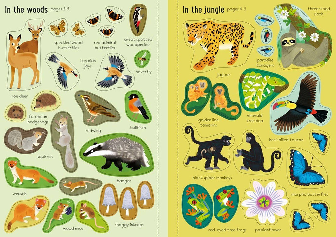 Little First Stickers Nature: Usborne