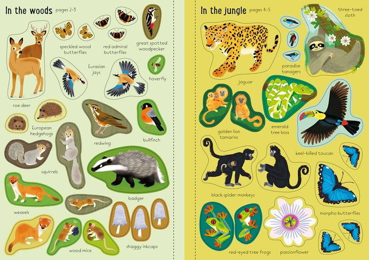 Little First Stickers Nature: Usborne