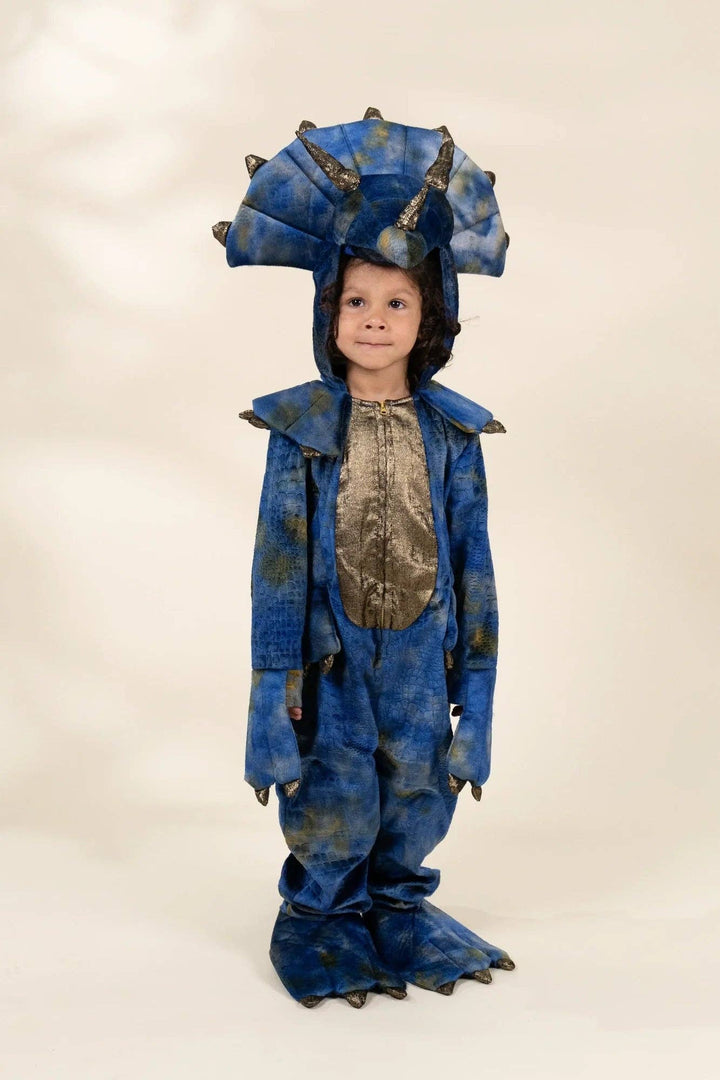 Coco Village Dinosaur Play Costume