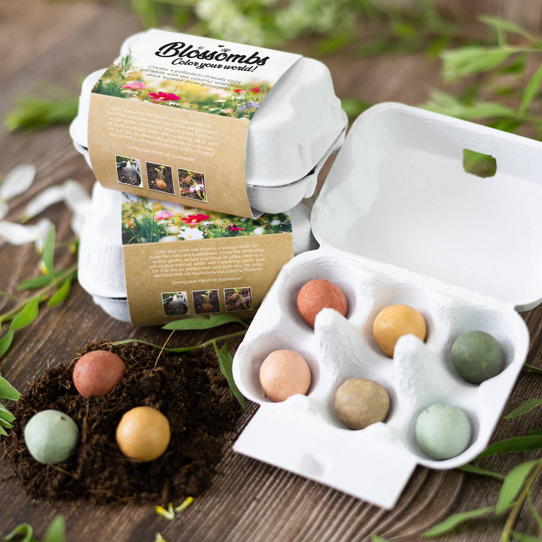 Buzzy Seeds Grow Gifts Easter Egg Carton Seed Bombs – Wildflower Gift Set
