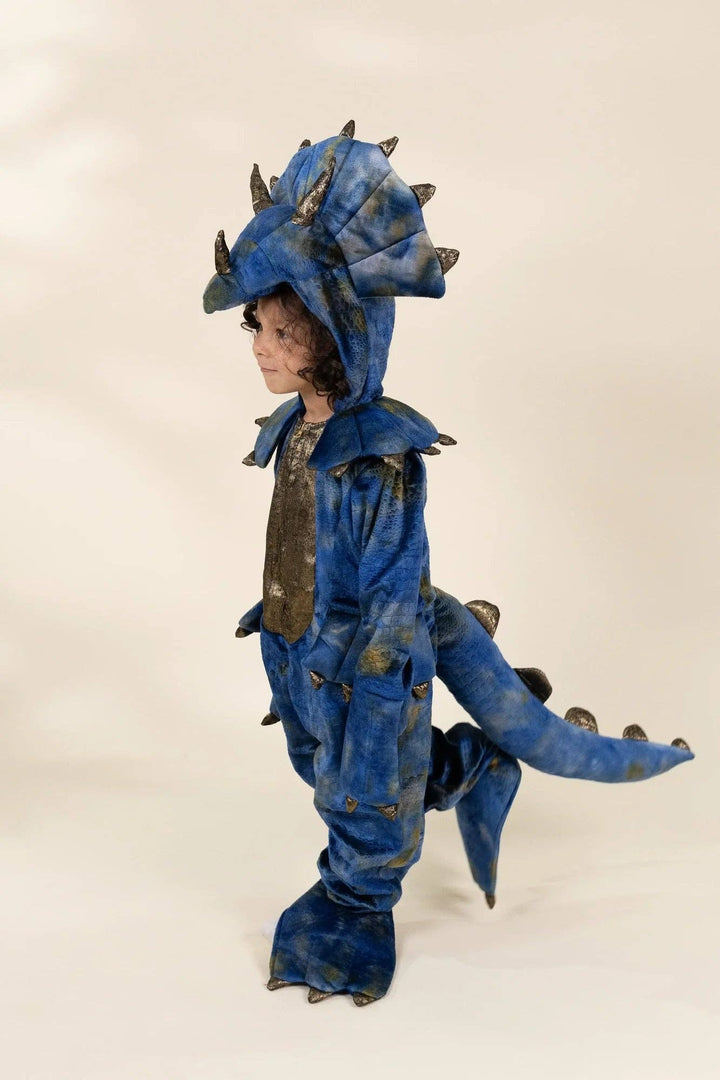 Coco Village Dinosaur Play Costume