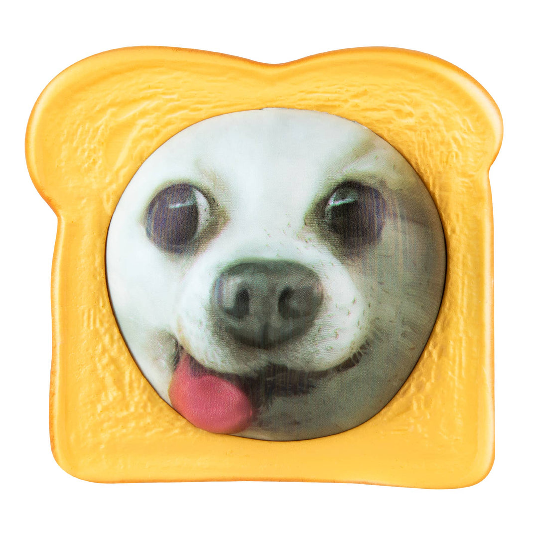 Pure Breads Pets