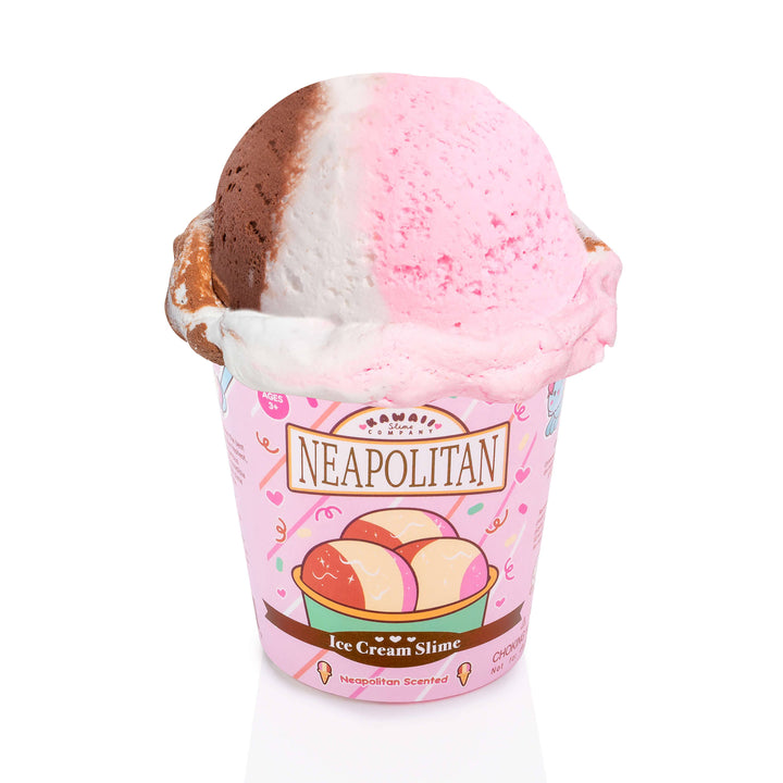 Kawaii Slime Neapolitan Scented Ice Cream Pint Slime