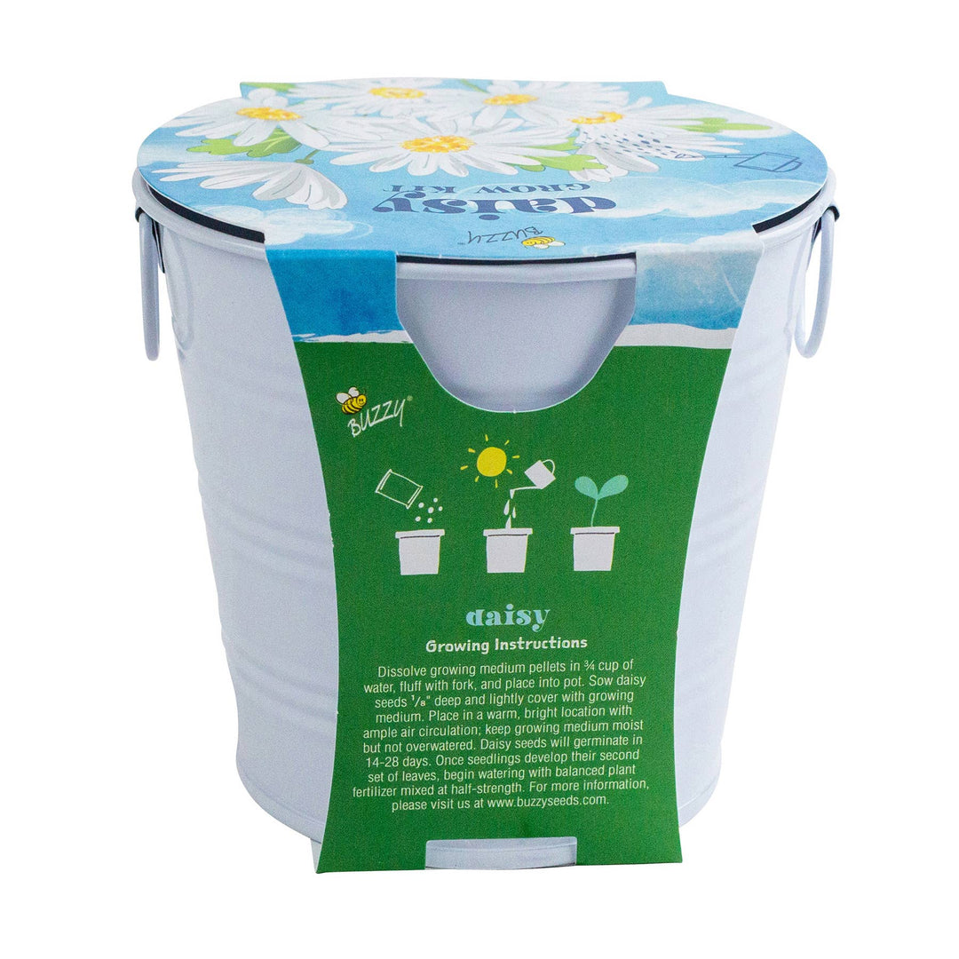 Buzzy Seeds Grow Gifts Kids Flower Grow Pail Daisy Garden Kit – Indoor Gift