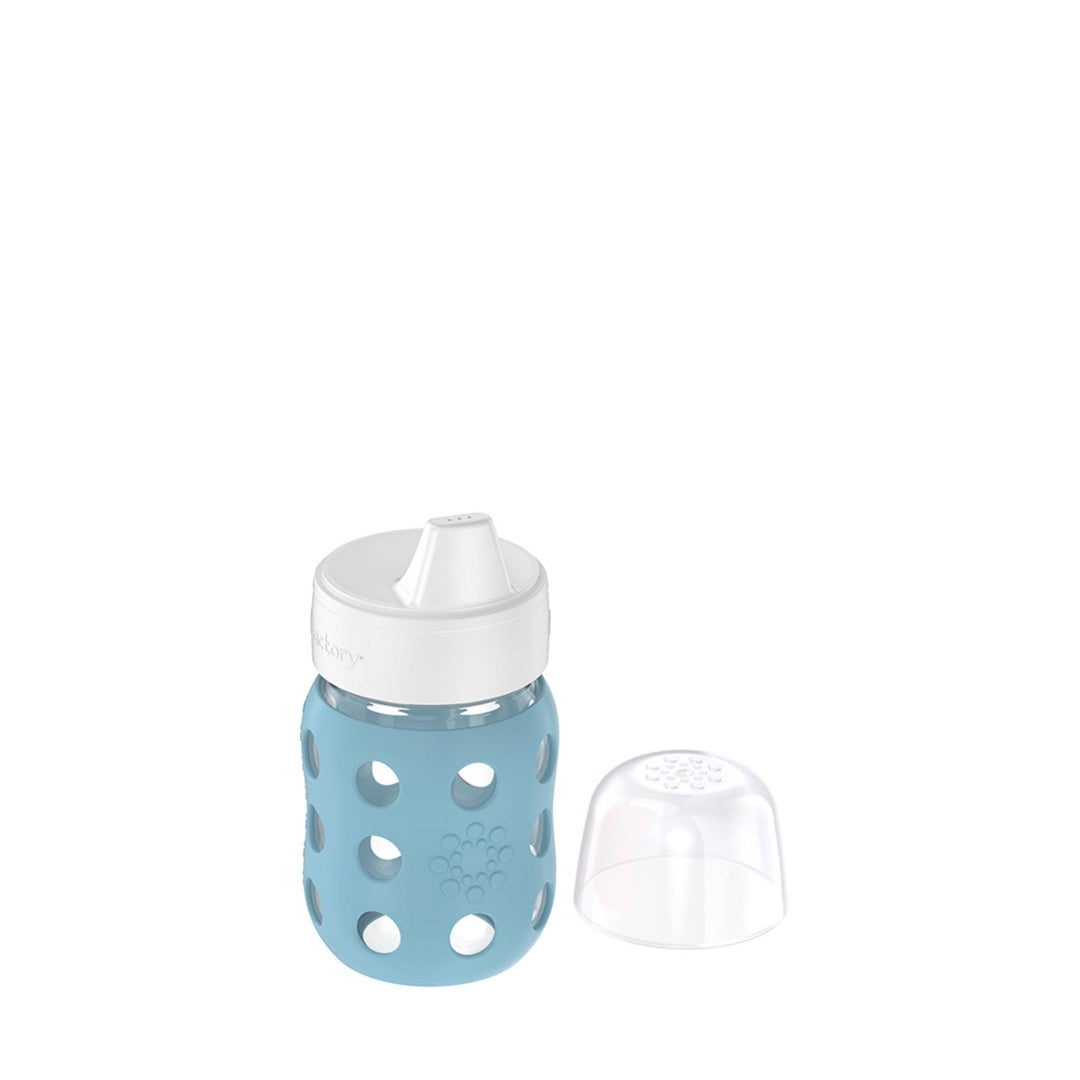 LifeFactory 8oz Glass Baby Bottle with Hard Sippy Spout