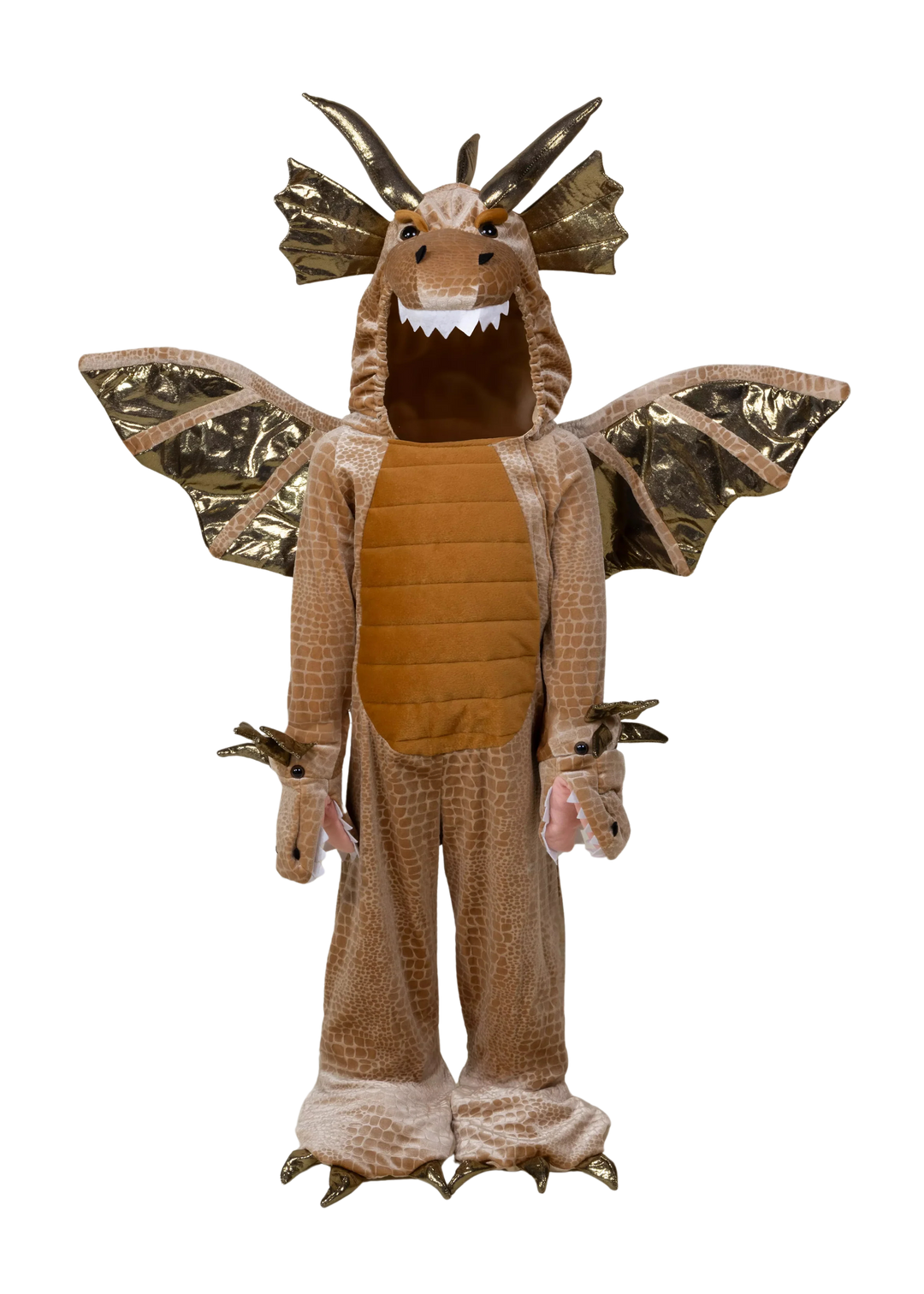 Coco Village Dragon Costume