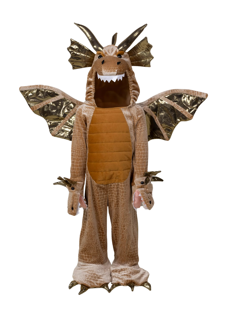 Coco Village Dragon Costume