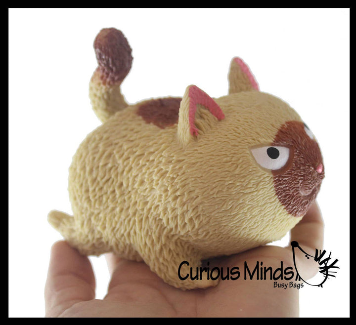 Angry Cat Soft Fluff Doh Squeeze Stress Balls  -