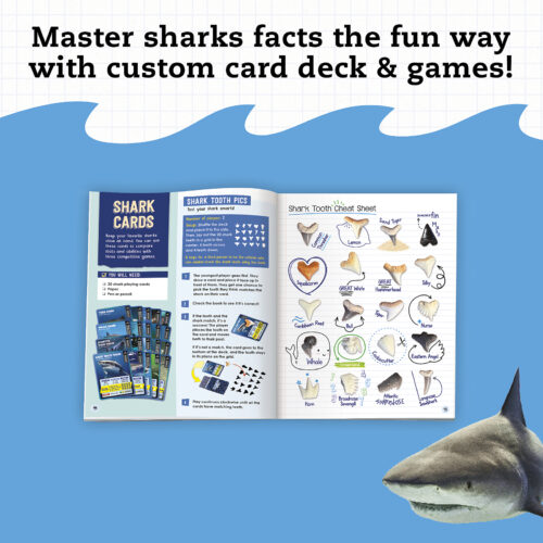 Klutz STEAM Lab - Shark-tastic Teeth!