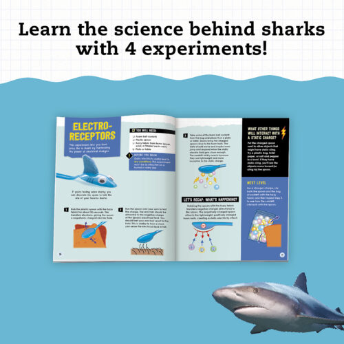Klutz STEAM Lab - Shark-tastic Teeth!