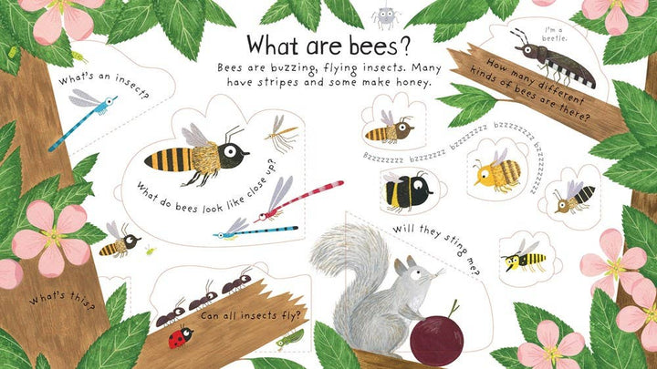 Usborne First Questions And Answers: Why Do We Need Bees?