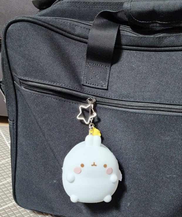Molang Silicone Zipper Pouch – Soft Coin Purse with Charm