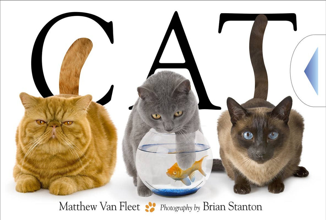 Cat by Matthew Van Fleet
