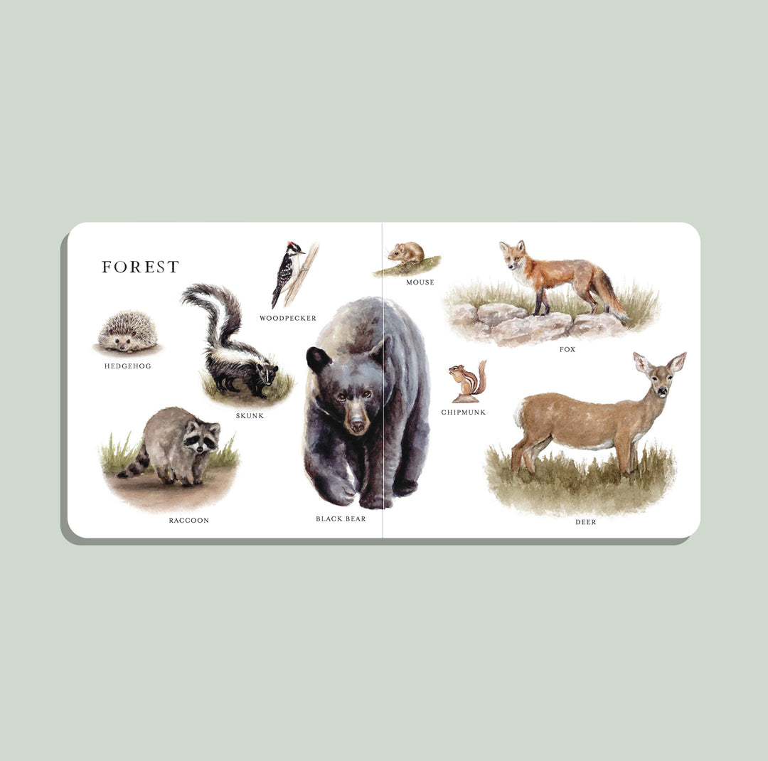 Our Big Book of Animals Board Book