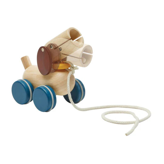 Plan Toys Push & Pull Puppy