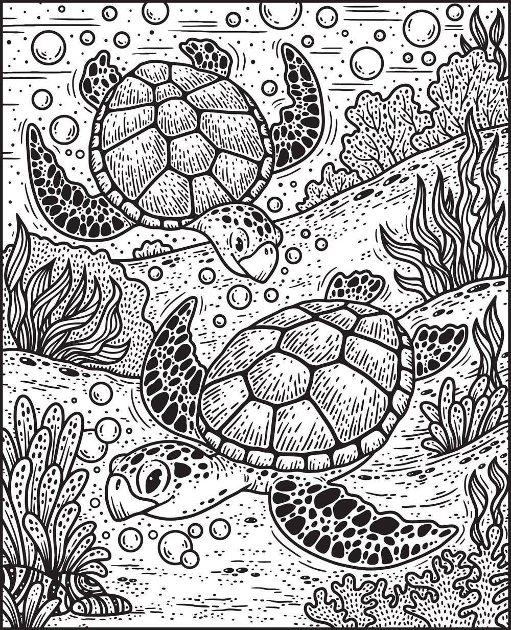 Usborne Narwhals & Other Sea Creatures Magic Painting Book