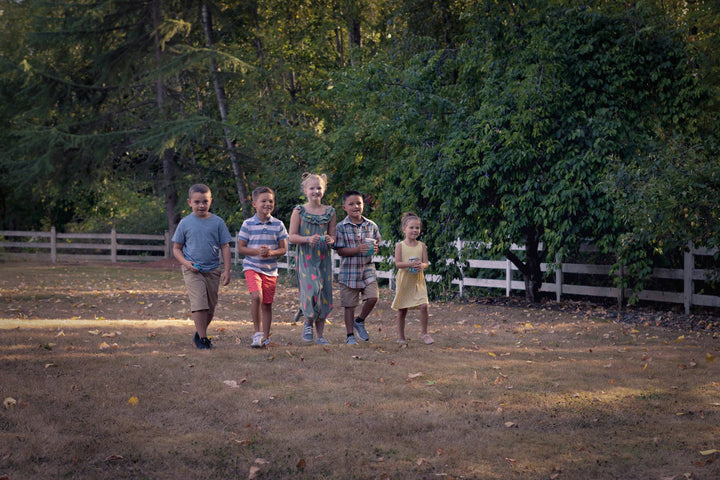 Toysmith Chasing Fireflies Kids Game