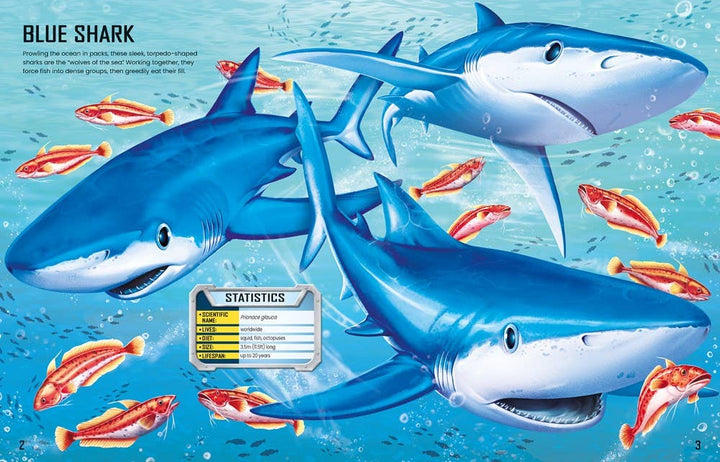 Usborne Build Your Own Sharks