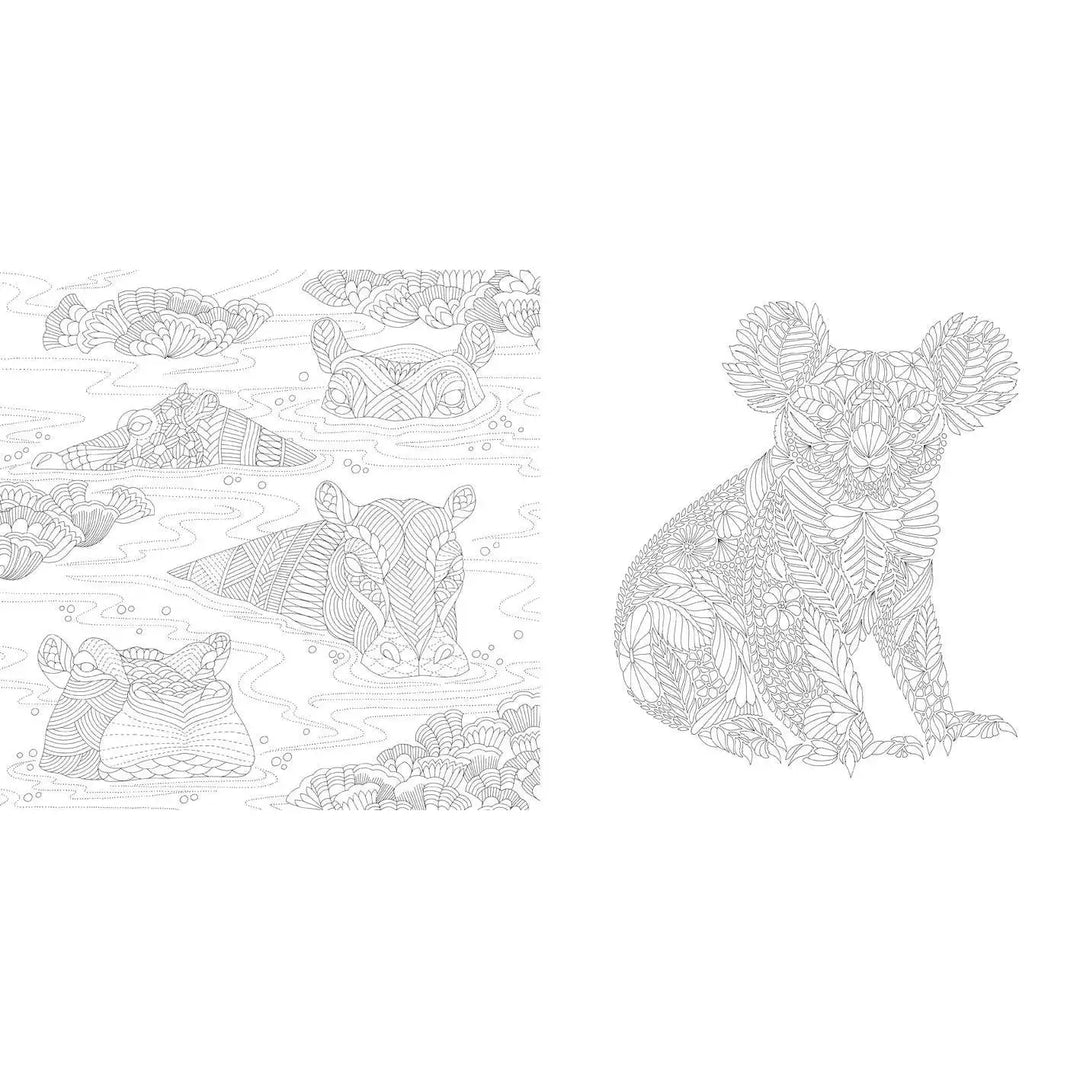 Millie Marotta's Wildlife Wonders Coloring Book