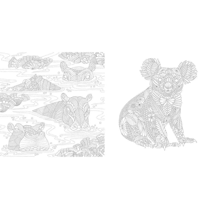 Millie Marotta's Wildlife Wonders Coloring Book