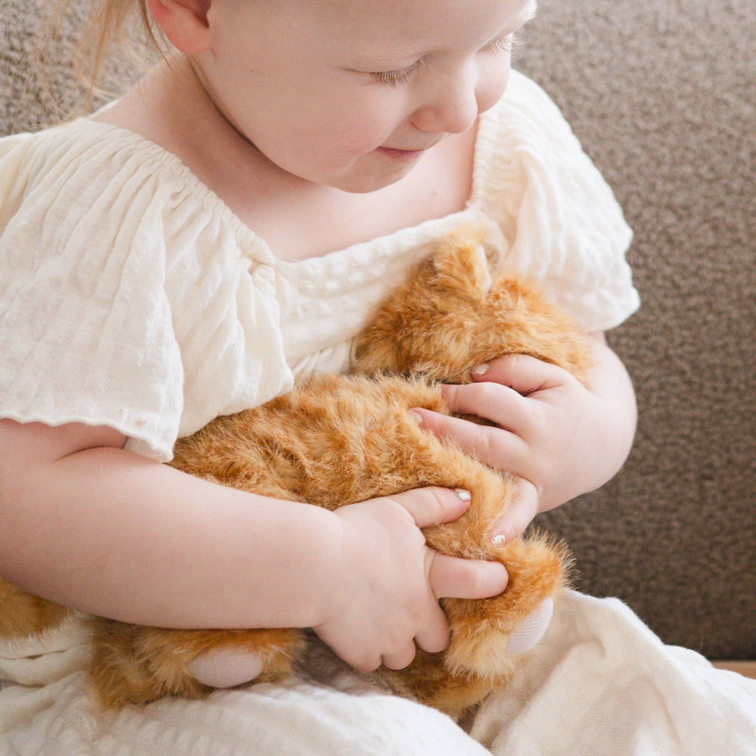 Little Lamb Kind Munchkin & House