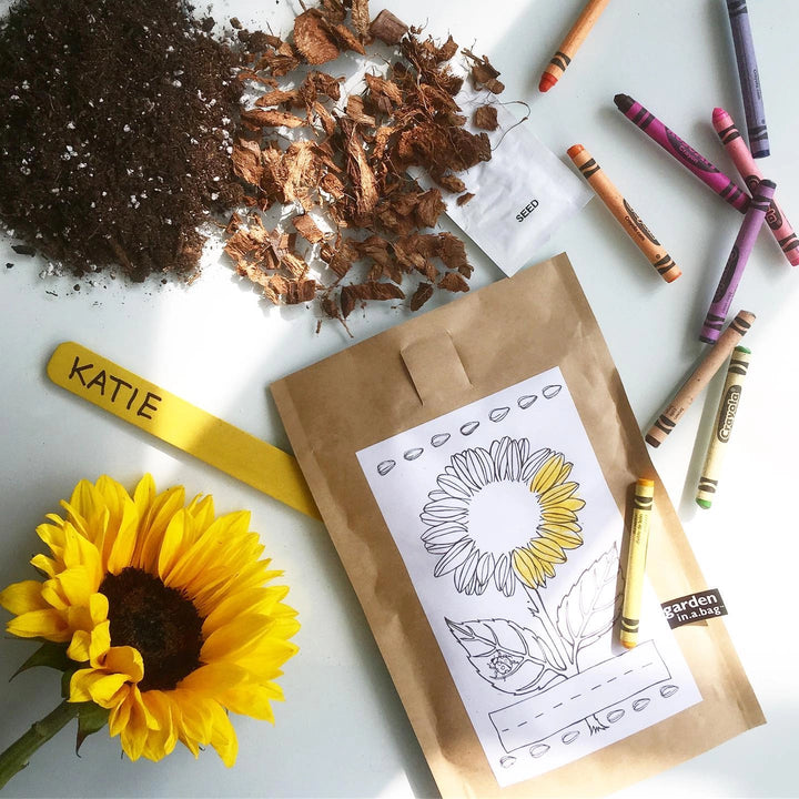 Potting Shed Creation Garden In A Bag - Mini Sunflower