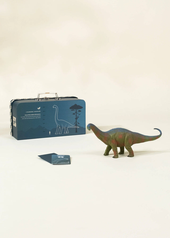 Coco Village Brachiosaurus Dinosaur in a Collectible Box