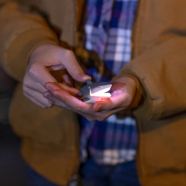 Big Discoveries Shark LifeLight