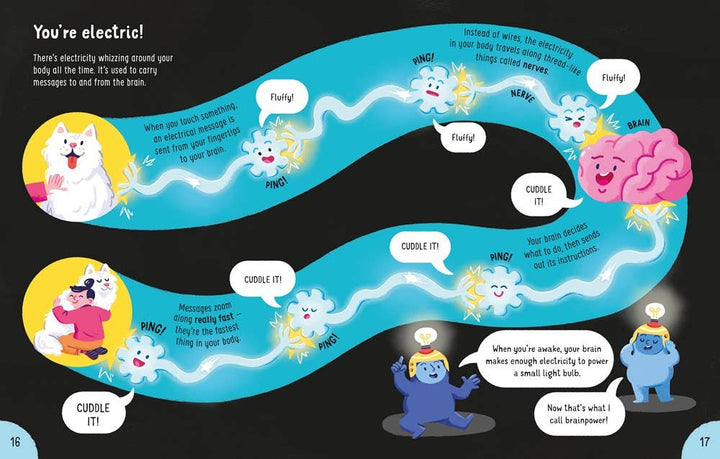 Usborne Lots of Things to Know About Your Body