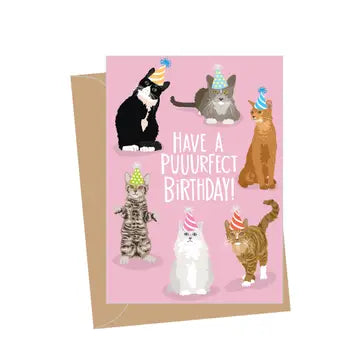 Apartment 2 Greeting Cards - Assorted