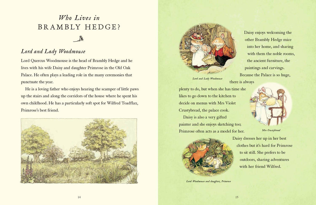 A Visit to Brambly Hedge: Jill Barklem