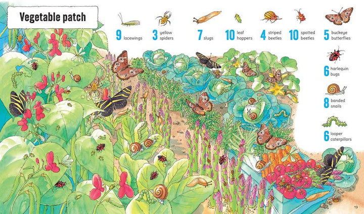 Usborne 1001 Bugs To Spot
