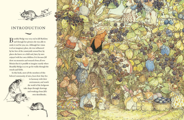 A Visit to Brambly Hedge: Jill Barklem
