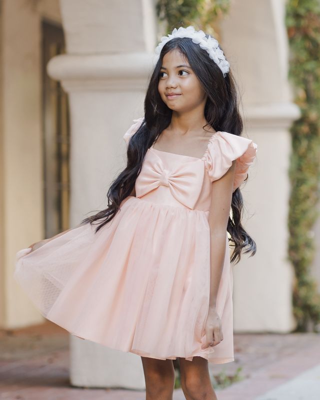 Noralee Madeline Dress - Blush