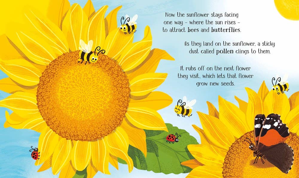 Usborne One Little Seed