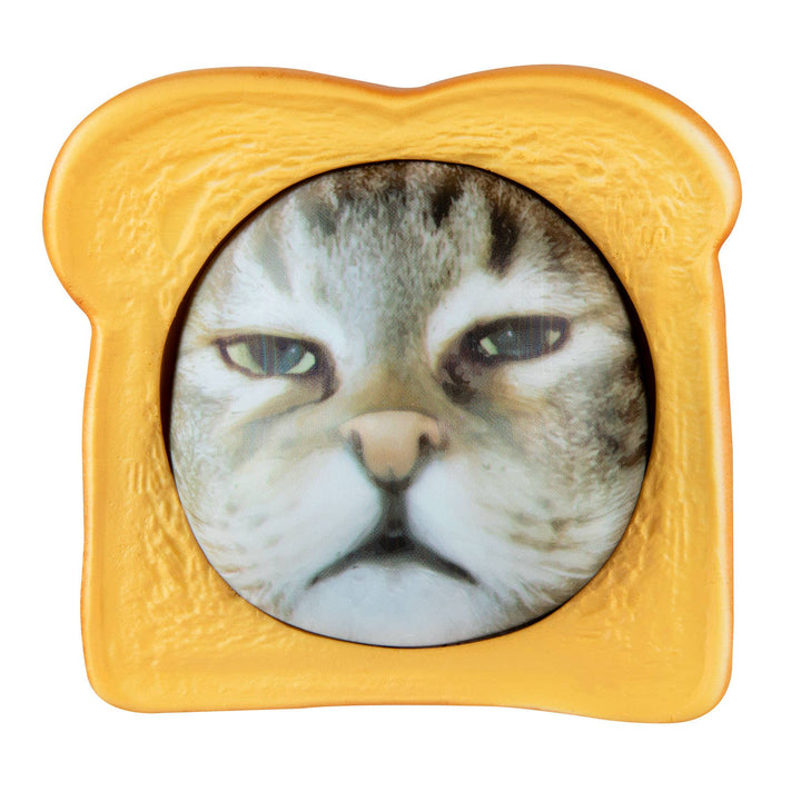 Pure Breads Pets
